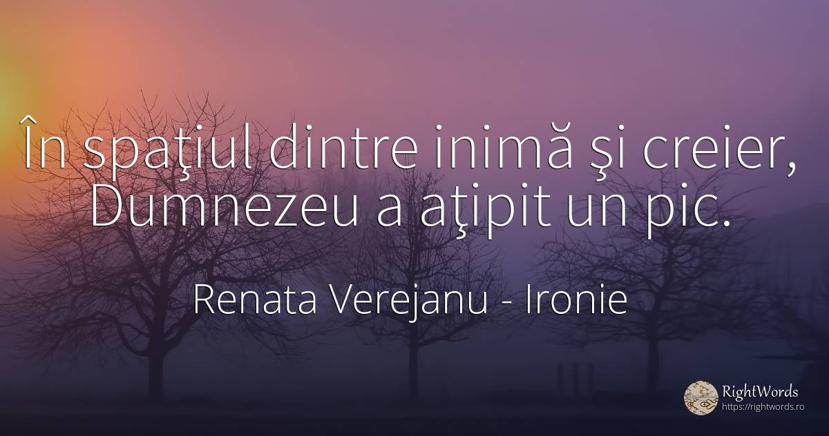 În spaţiul dintre inimă şi creier, Dumnezeu a aţipit un pic. - Renata Verejanu, citat despre ironie, creier, inimă, lume, dumnezeu