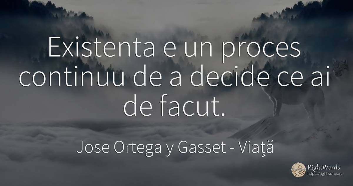Existenta e un proces continuu de a decide ce ai de facut. - Jose Ortega y Gasset, citat despre viață, existență