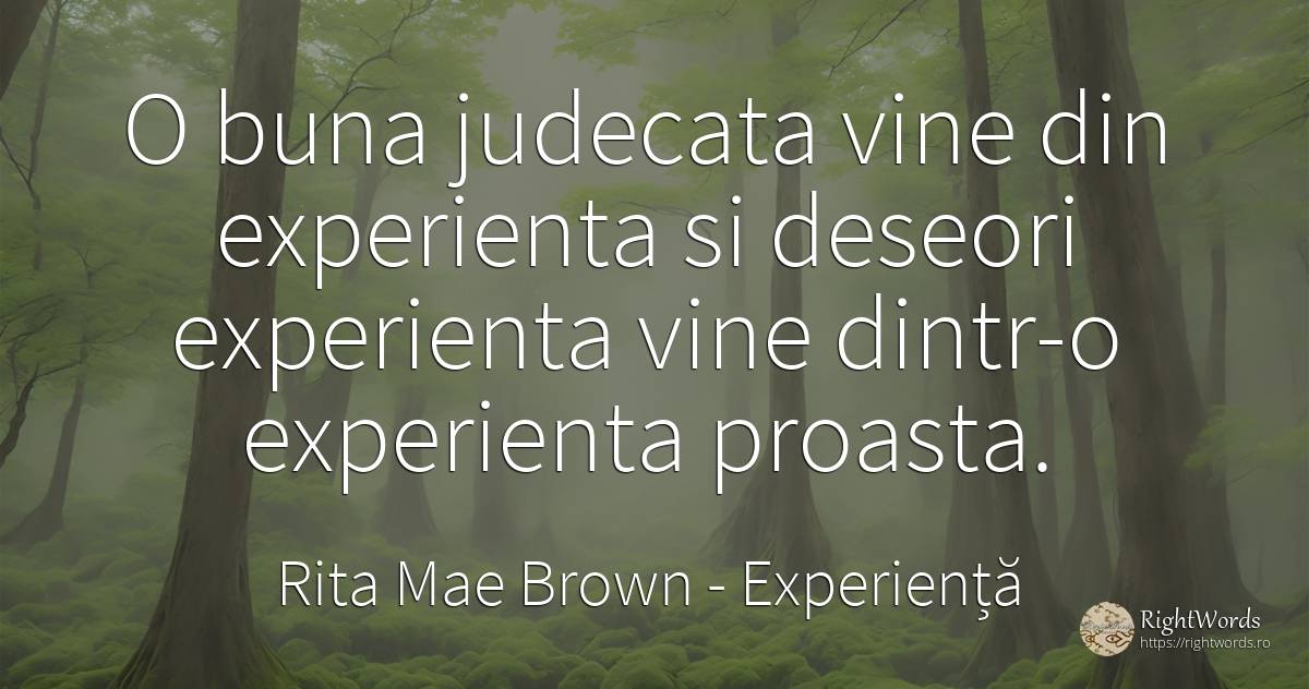 O buna judecata vine din experienta si deseori experienta... - Rita Mae Brown, citat despre experiență, judecată