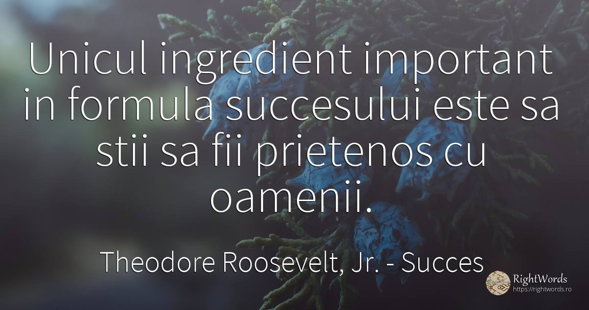 Unicul ingredient important in formula succesului este sa... - Theodore Roosevelt, Jr., citat despre succes, oameni