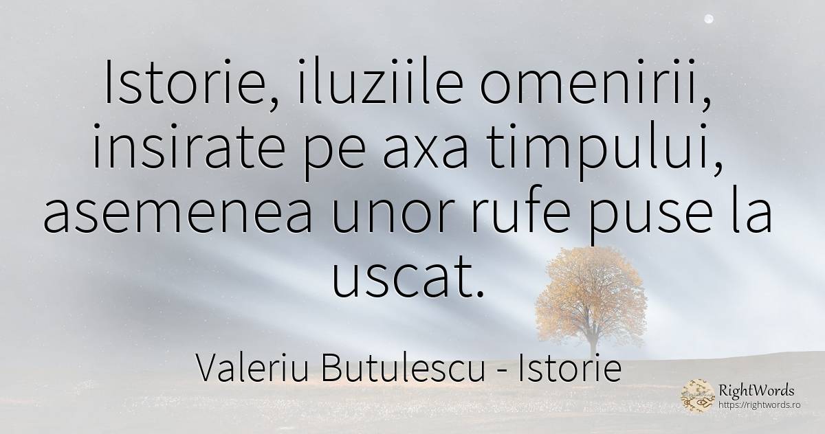 Istorie, iluziile omenirii, insirate pe axa timpului, ... - Valeriu Butulescu, citat despre istorie, iluzie