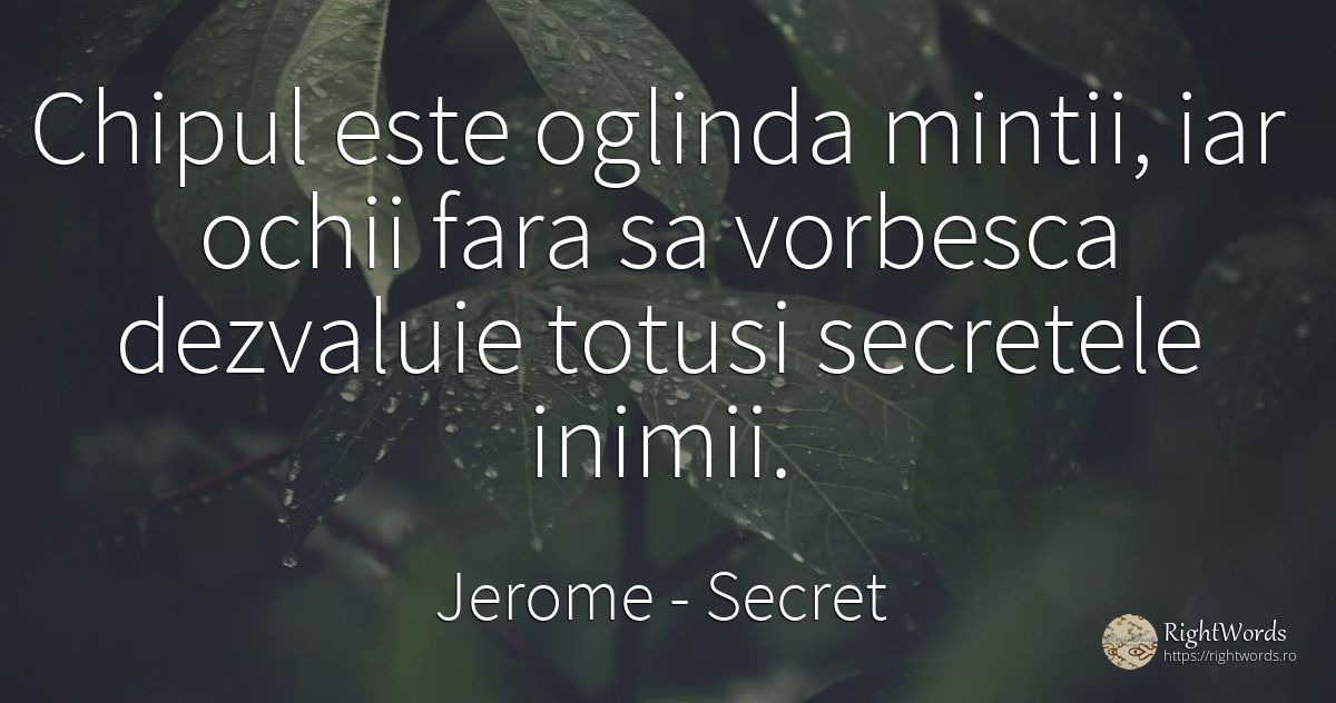 Chipul este oglinda mintii, iar ochii fara sa vorbesca... - Jerome, citat despre secret, ochi