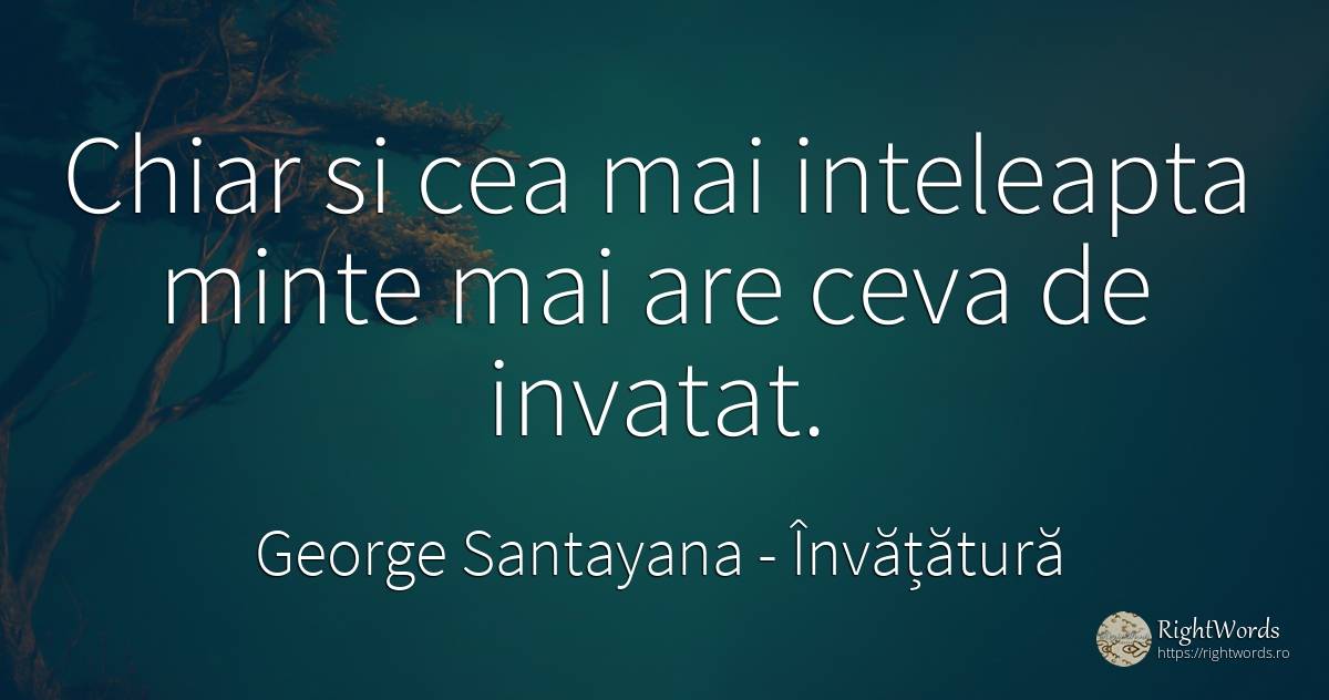 Chiar si cea mai inteleapta minte mai are ceva de invatat. - George Santayana, citat despre învățătură, minte
