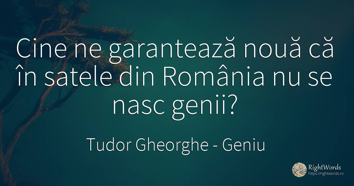 Cine ne garantează nouă că în satele din România nu se... - Tudor Gheorghe, citat despre geniu