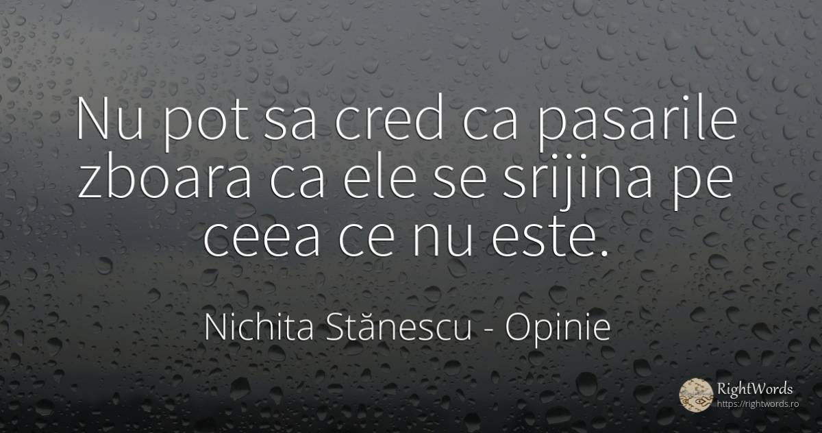 Nu pot sa cred ca pasarile zboara ca ele se srijina pe... - Nichita Stănescu, citat despre opinie, zbor
