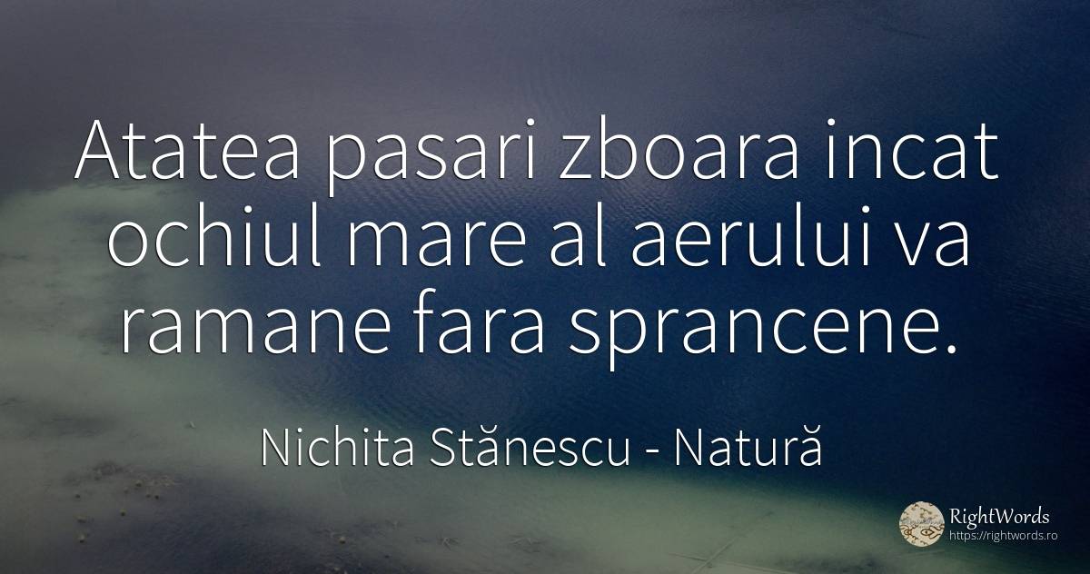 Atatea pasari zboara incat ochiul mare al aerului va... - Nichita Stănescu, citat despre natură, zbor, ochi
