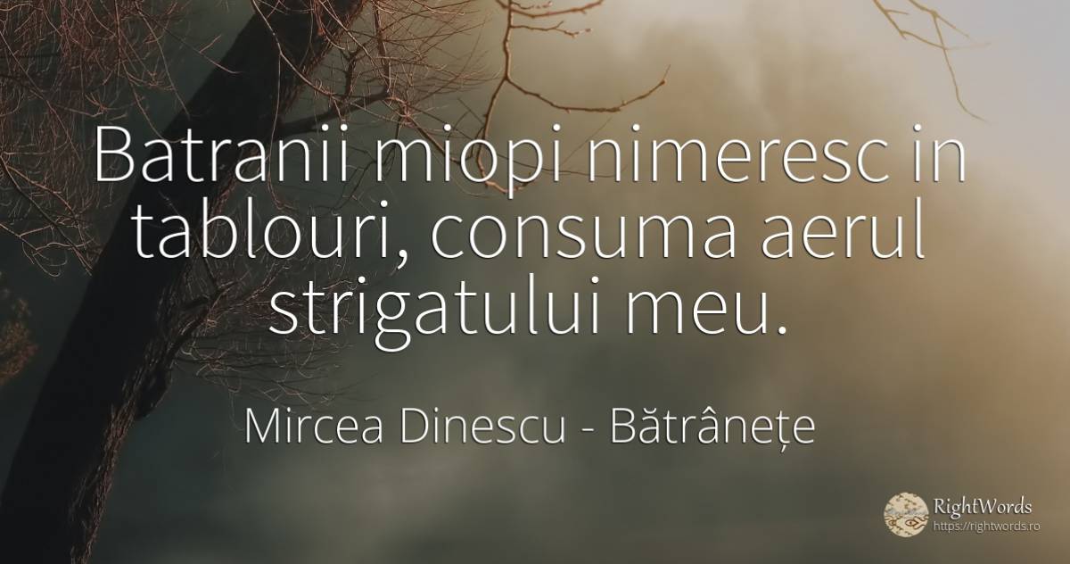 Batranii miopi nimeresc in tablouri, consuma aerul... - Mircea Dinescu, citat despre bătrânețe, aer