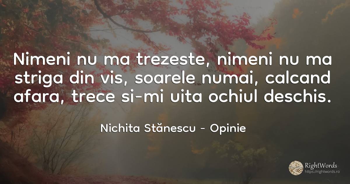 Nimeni nu ma trezeste, nimeni nu ma striga din vis, ... - Nichita Stănescu, citat despre opinie, ochi, soare, vis, uitare