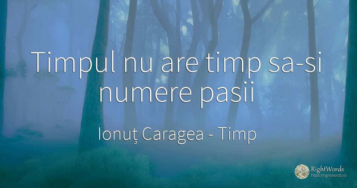 Timpul nu are timp sa-si numere pasii - Ionuț Caragea (Snowdon King), citat despre timp, numere