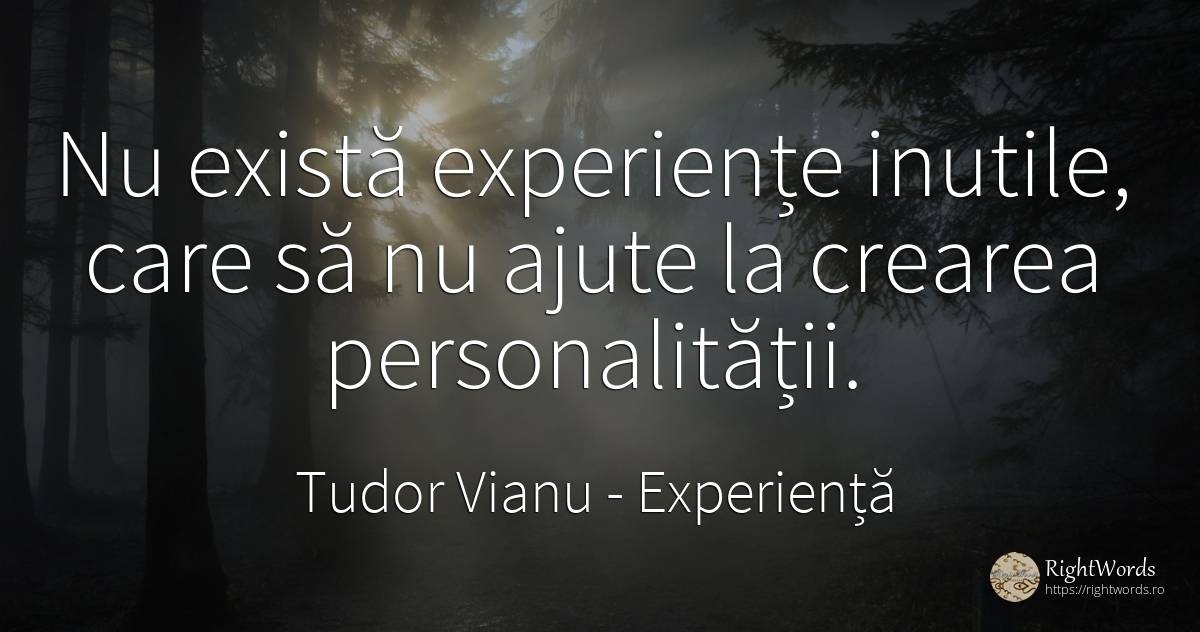 Nu există experiențe inutile, care să nu ajute la crearea... - Tudor Vianu, citat despre experiență, personalitate