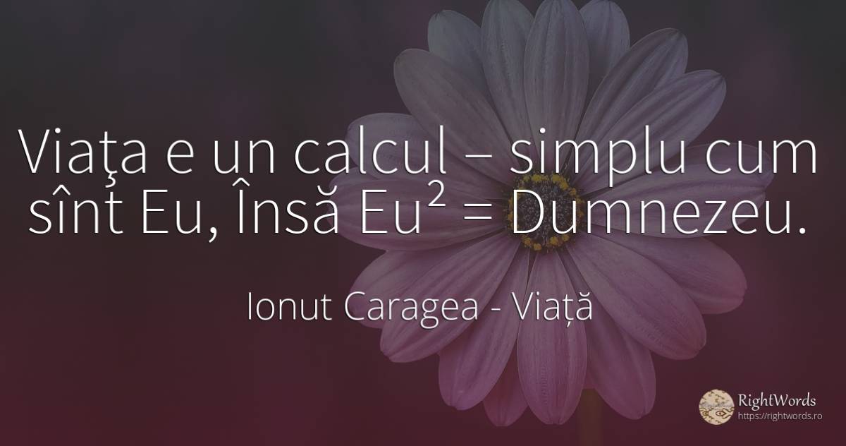 Viaţa e un calcul – simplu cum sînt Eu, Însă Eu² = Dumnezeu. - Ionuț Caragea (Snowdon King), citat despre viață, simplitate, dumnezeu