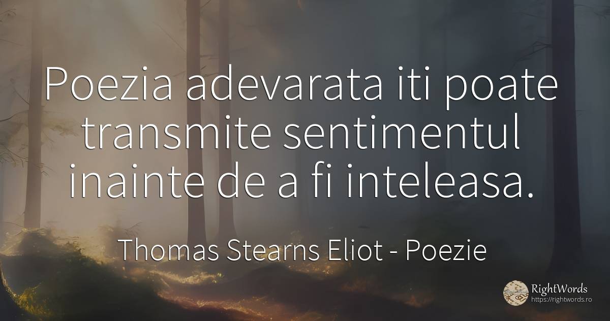 Poezia adevarata iti poate transmite sentimentul inainte... - Thomas Stearns Eliot, citat despre poezie, sentimente