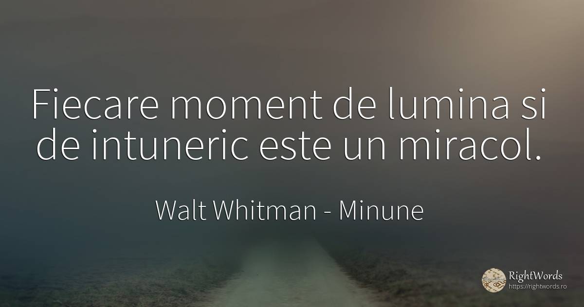 Fiecare moment de lumina si de intuneric este un miracol. - Walt Whitman, citat despre minune, întuneric, lumină