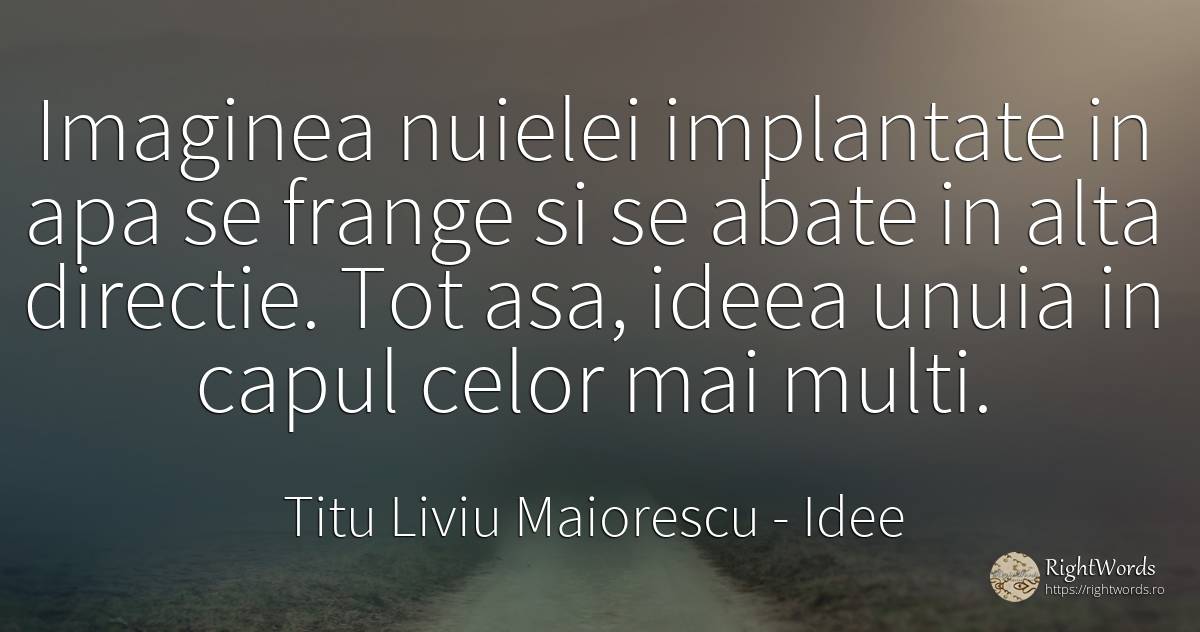 Imaginea nuielei implantate in apa se frange si se abate... - Titu Liviu Maiorescu, citat despre idee, apă