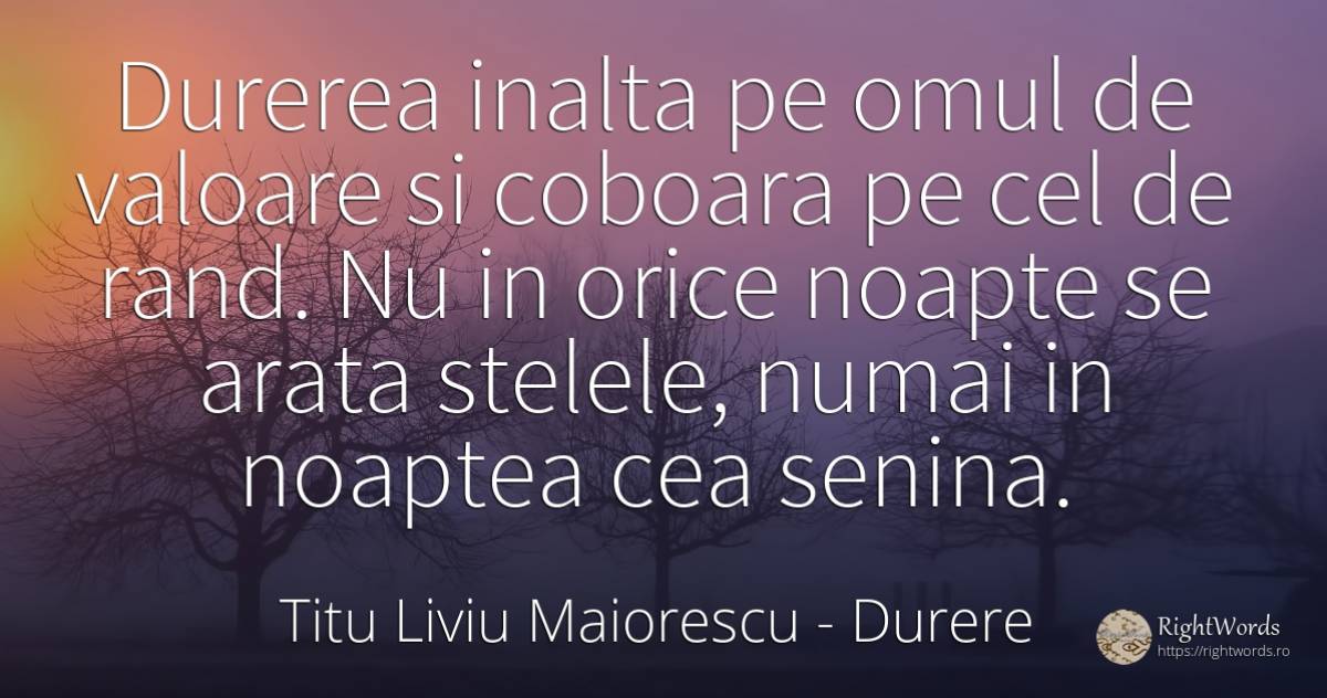 Durerea inalta pe omul de valoare si coboara pe cel de... - Titu Liviu Maiorescu, citat despre durere, noapte, stele, valoare, oameni