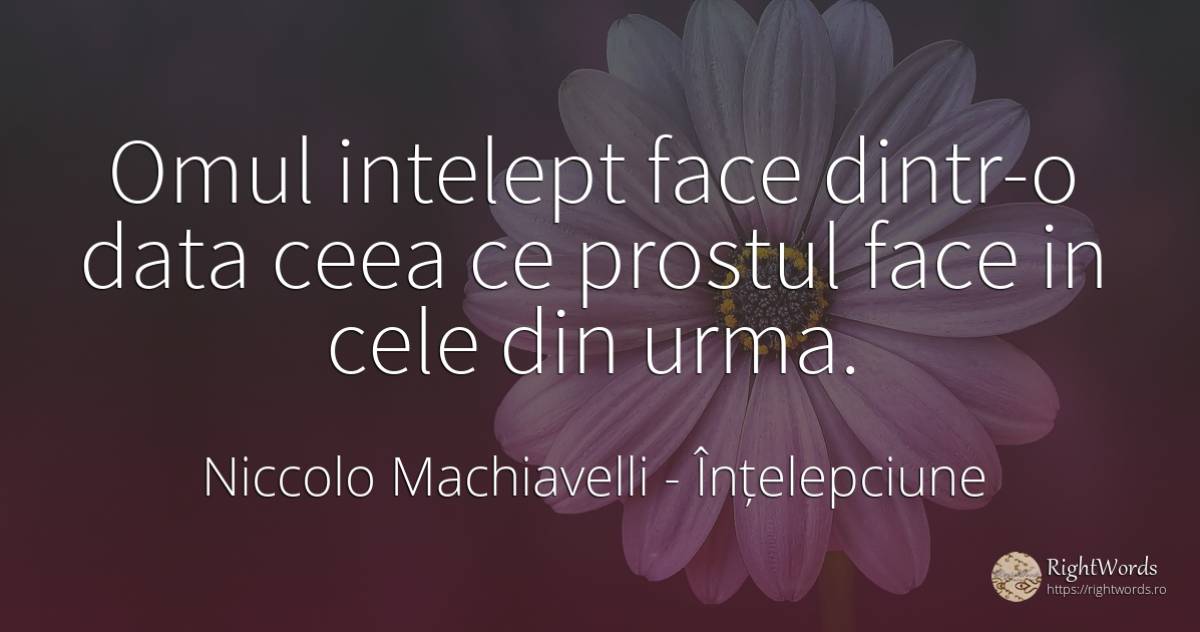 Omul intelept face dintr-o data ceea ce prostul face in... - Niccolo Machiavelli, citat despre înțelepciune, prostie, oameni