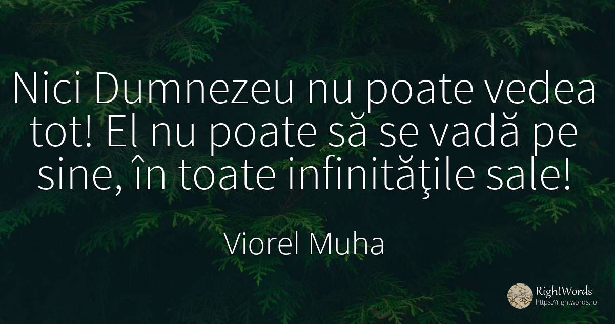 Nici Dumnezeu nu poate vedea tot! El nu poate să se vadă... - Viorel Muha