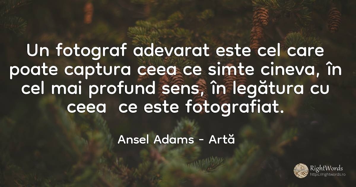 Un fotograf adevarat este cel care poate captura ceea ce... - Ansel Adams, citat despre artă, artă fotografică, sens, adevăr