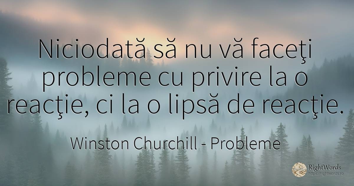 Niciodată să nu vă faceţi probleme cu privire la o... - Winston Churchill, citat despre probleme