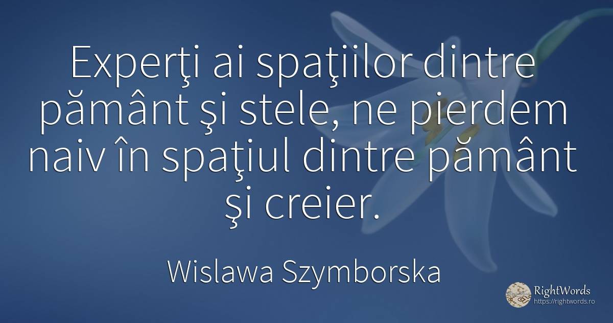 Experţi ai spaţiilor dintre pământ şi stele, ne pierdem... - Wislawa Szymborska, citat despre naivitate, creier, pământ, stele