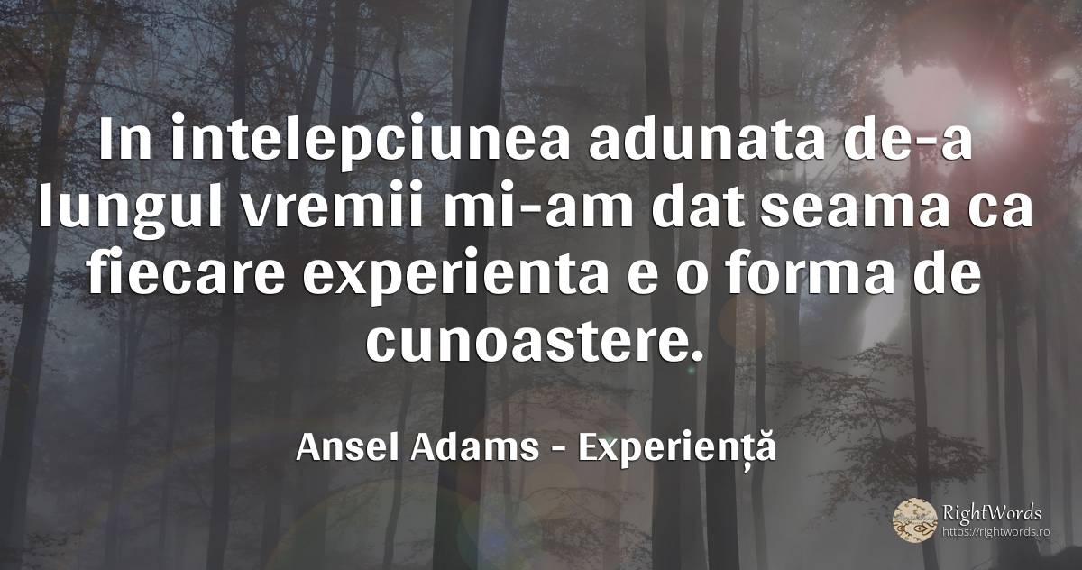 In intelepciunea adunata de-a lungul vremii mi-am dat... - Ansel Adams, citat despre experiență, cunoaștere, înțelepciune