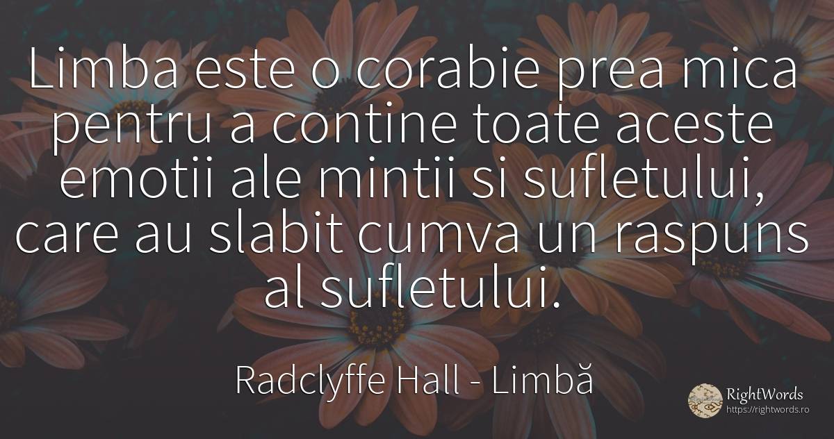 Limba este o corabie prea mica pentru a contine toate... - Radclyffe Hall, citat despre limbă, emoții, suflet