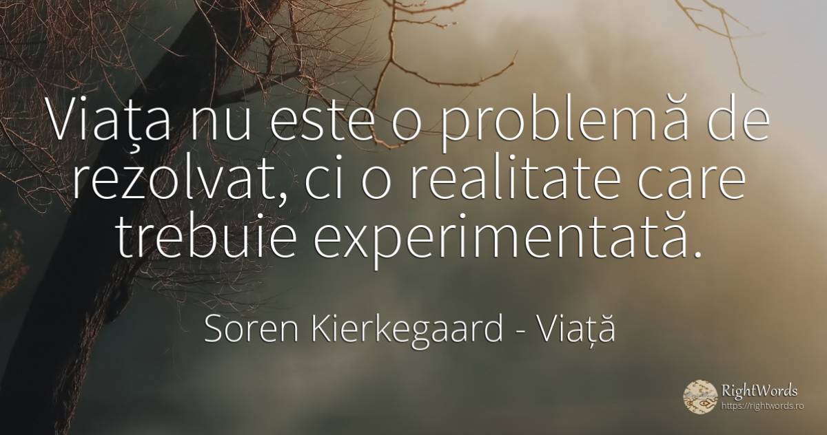 Viața nu este o problemă de rezolvat, ci o realitate care... - Soren Kierkegaard, citat despre viață, realitate, probleme
