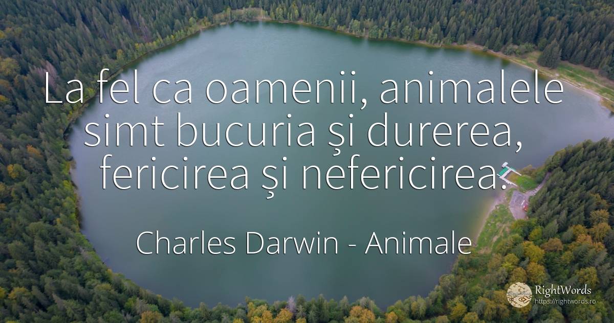 La fel ca oamenii, animalele simt bucuria și durerea, ... - Charles Darwin, citat despre animale, nefericire, bucurie, durere, bunul simț, simț, fericire, oameni