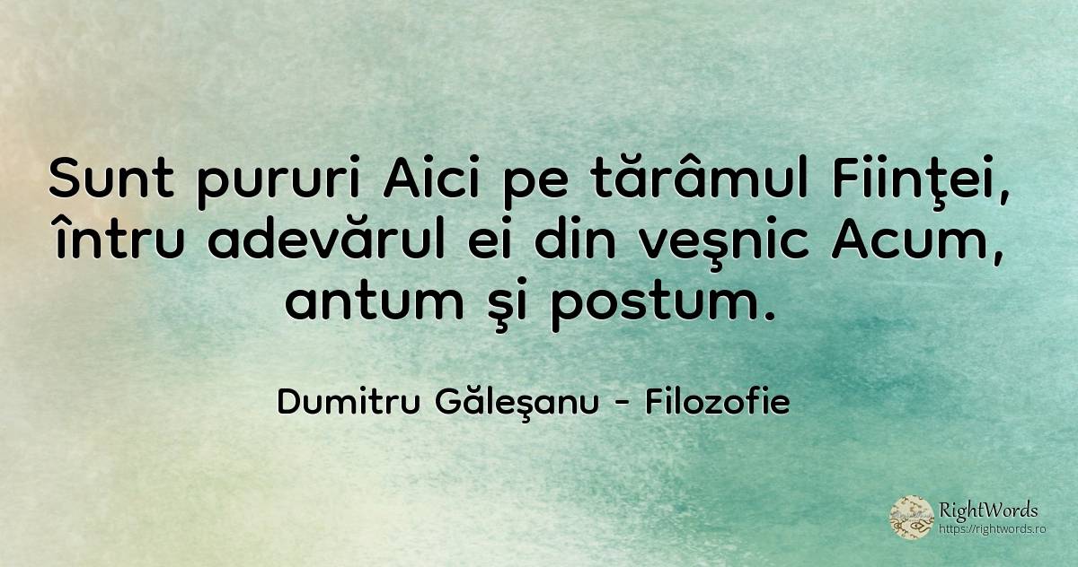 Sunt pururi Aici pe tărâmul Fiinţei, întru adevărul ei... - Dumitru Găleşanu, citat despre filozofie