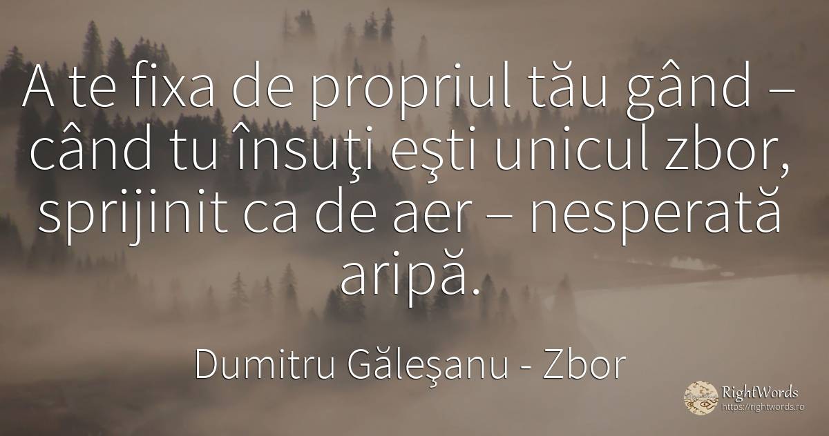 A te fixa de propriul tău gând – când tu însuţi eşti... - Dumitru Găleşanu, citat despre zbor