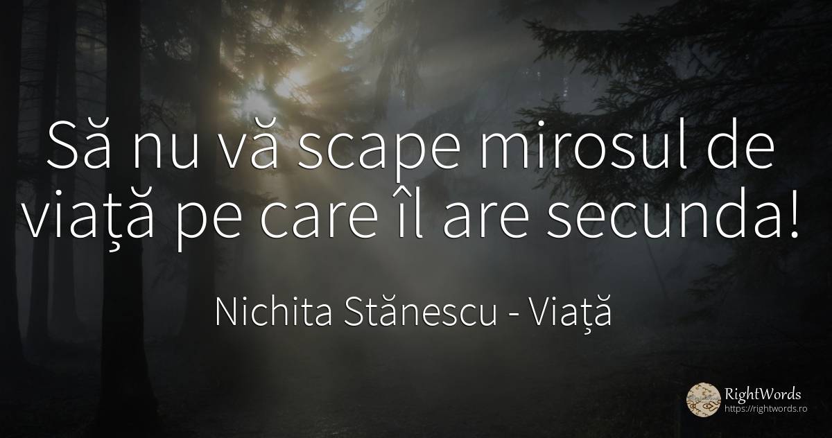 Să nu vă scape mirosul de viață pe care îl are secunda! - Nichita Stănescu, citat despre viață