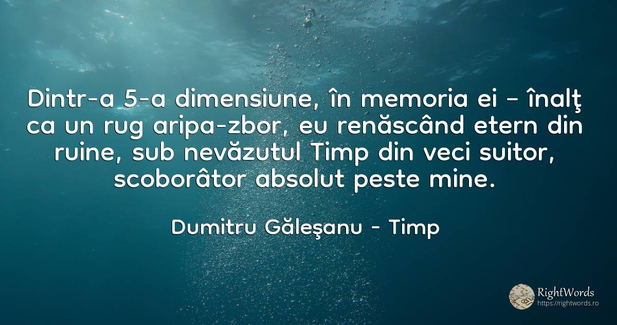 Dintr-a 5-a dimensiune, în memoria ei – înalţ ca un rug... - Dumitru Găleşanu, citat despre timp