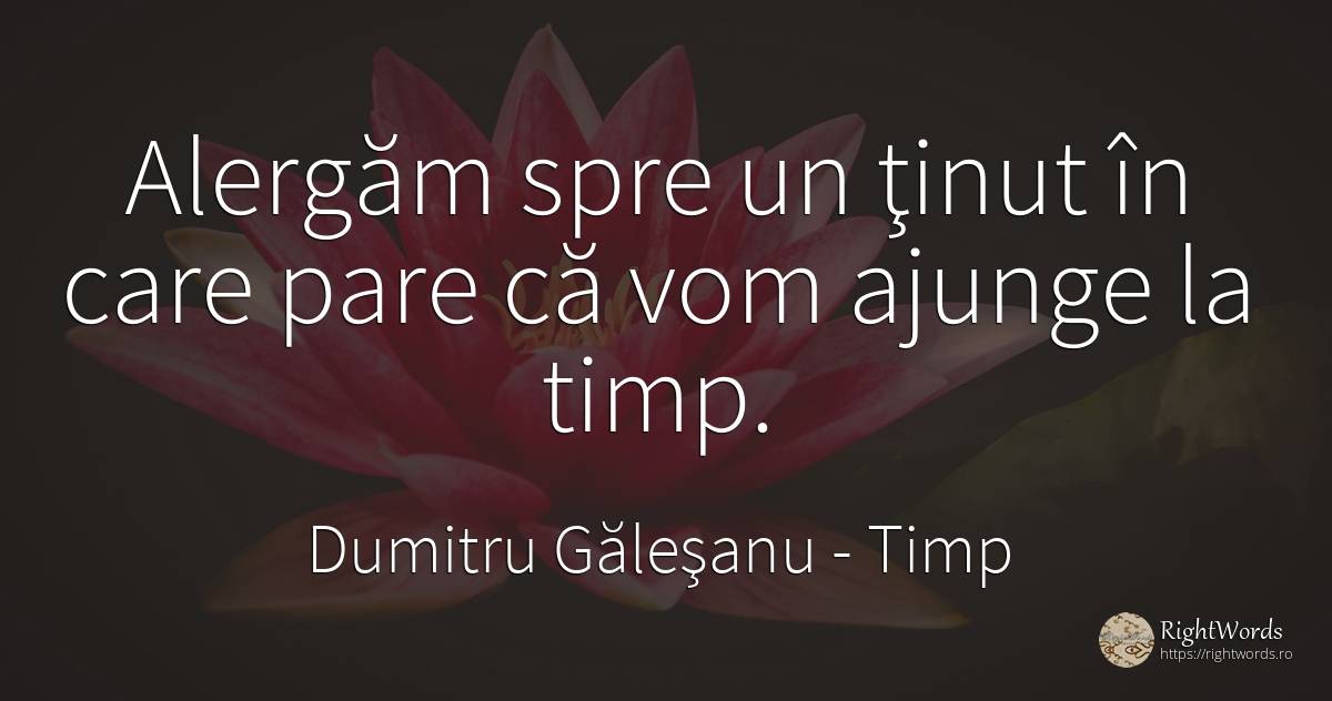 Alergăm spre un ţinut în care pare că vom ajunge la timp. - Dumitru Găleşanu, citat despre timp