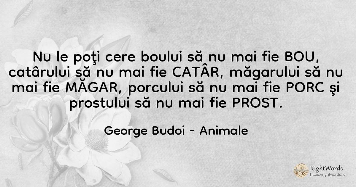 Nu le poţi cere boului să nu mai fie BOU, catârului să nu... - George Budoi, citat despre animale