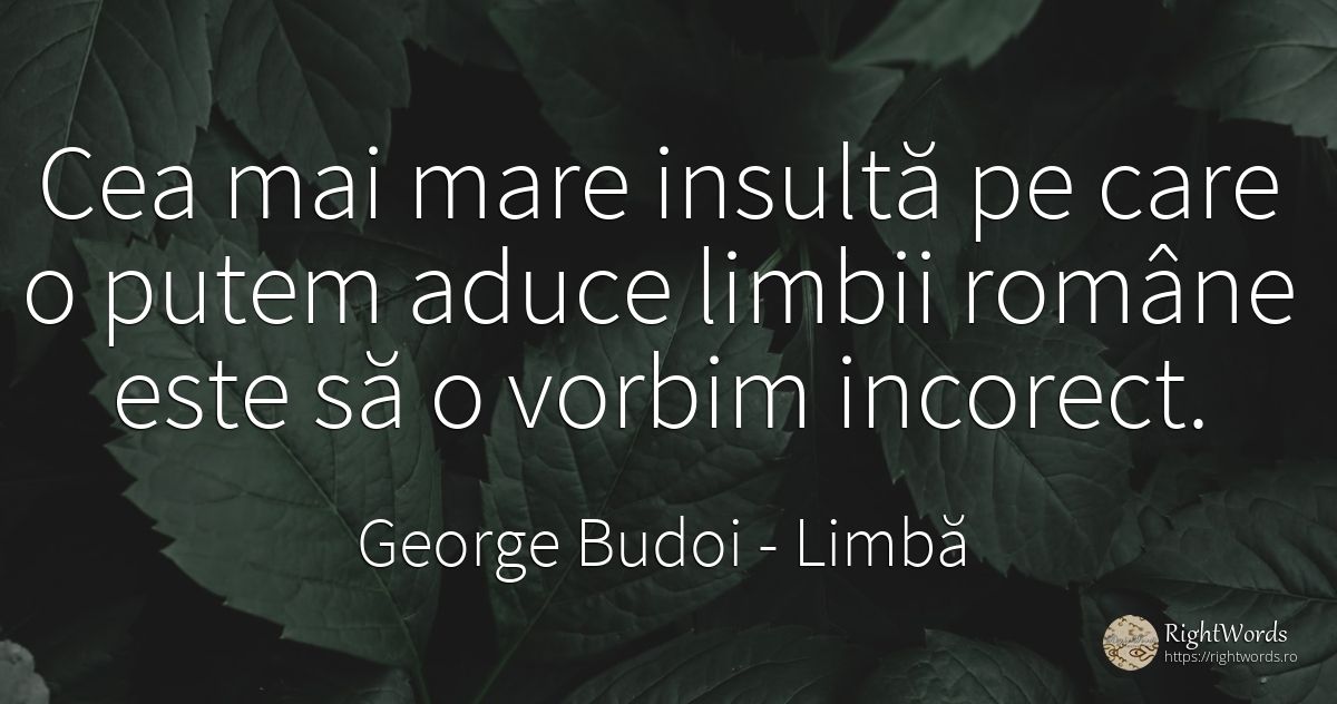 Cea mai mare insultă pe care o putem aduce limbii române... - George Budoi, citat despre limbă