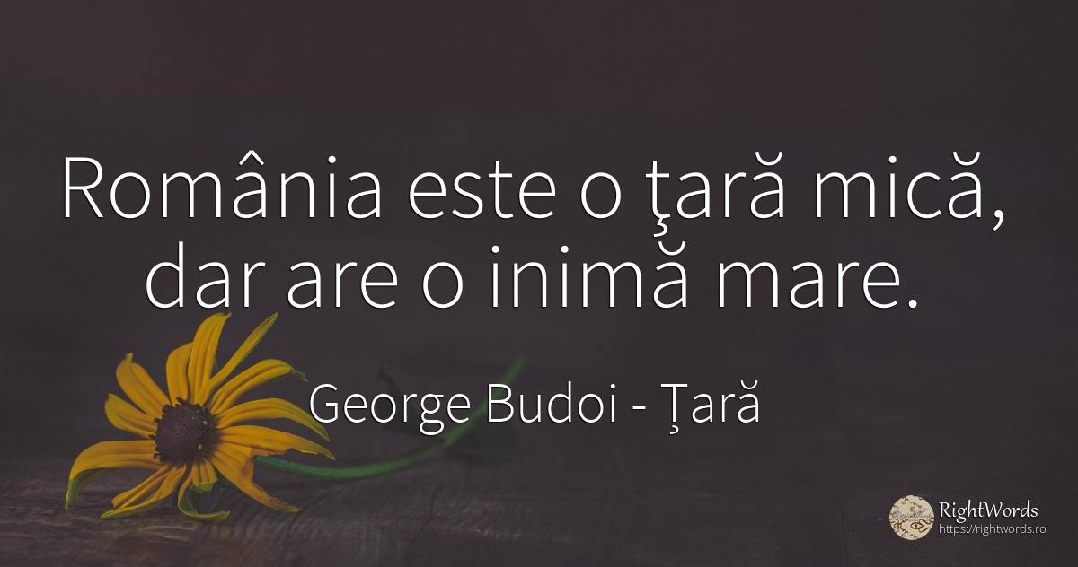 România este o ţară mică, dar are o inimă mare. - George Budoi, citat despre țară, români