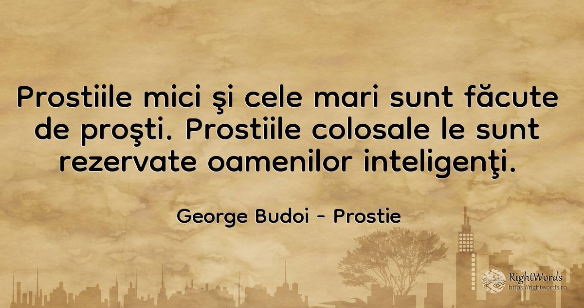 Prostiile mici şi cele mari sunt făcute de proşti.... - George Budoi, citat despre prostie