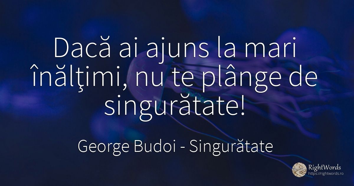 Dacă ai ajuns la mari înălţimi, nu te plânge de singurătate! - George Budoi, citat despre singurătate