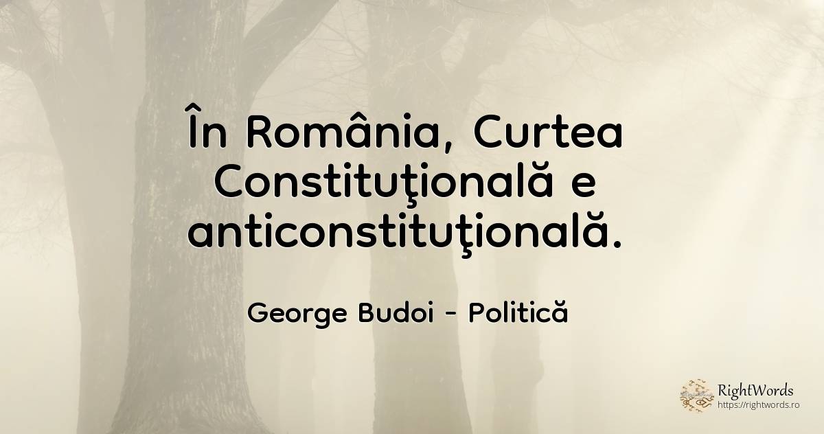 În România, Curtea Constituţională e anticonstituţională. - George Budoi, citat despre politică