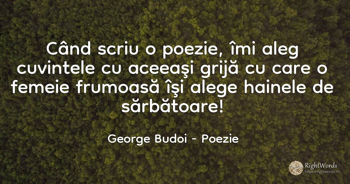 Când scriu o poezie, îmi aleg cuvintele cu aceeaşi grijă... - George Budoi, citat despre poezie