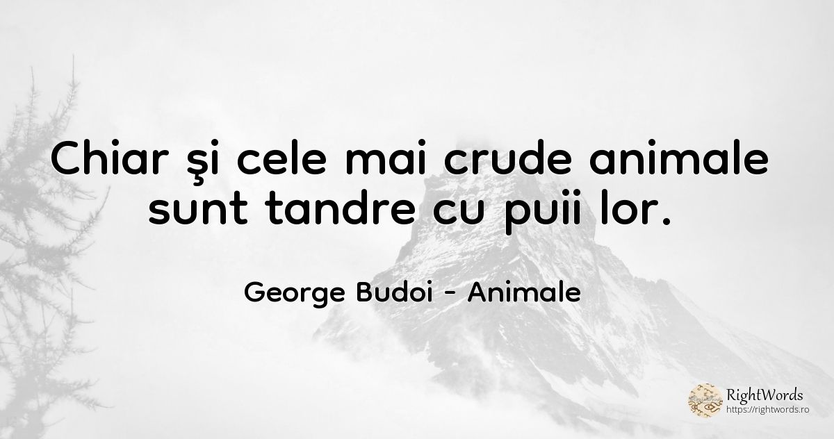 Chiar şi cele mai crude animale sunt tandre cu puii lor. - George Budoi, citat despre animale