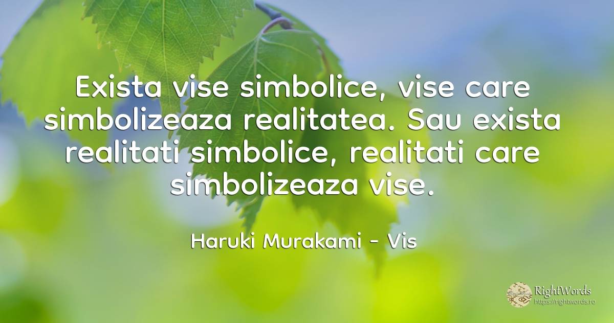 Exista vise simbolice, vise care simbolizeaza realitatea.... - Haruki Murakami, citat despre vis, căutare, realitate