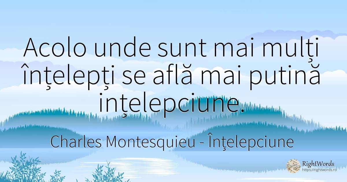 Acolo unde sunt mai mulți înțelepți se află mai putină... - Charles Montesquieu, citat despre înțelepciune