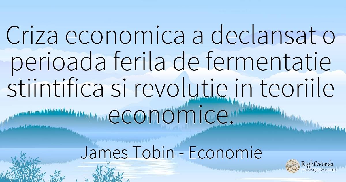 Criza economica a declansat o perioada ferila de... - James Tobin, citat despre economie, revoluție