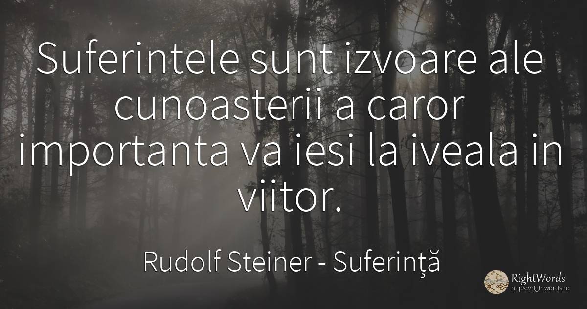 Suferintele sunt izvoare ale cunoasterii a caror... - Rudolf Steiner, citat despre suferință, viitor