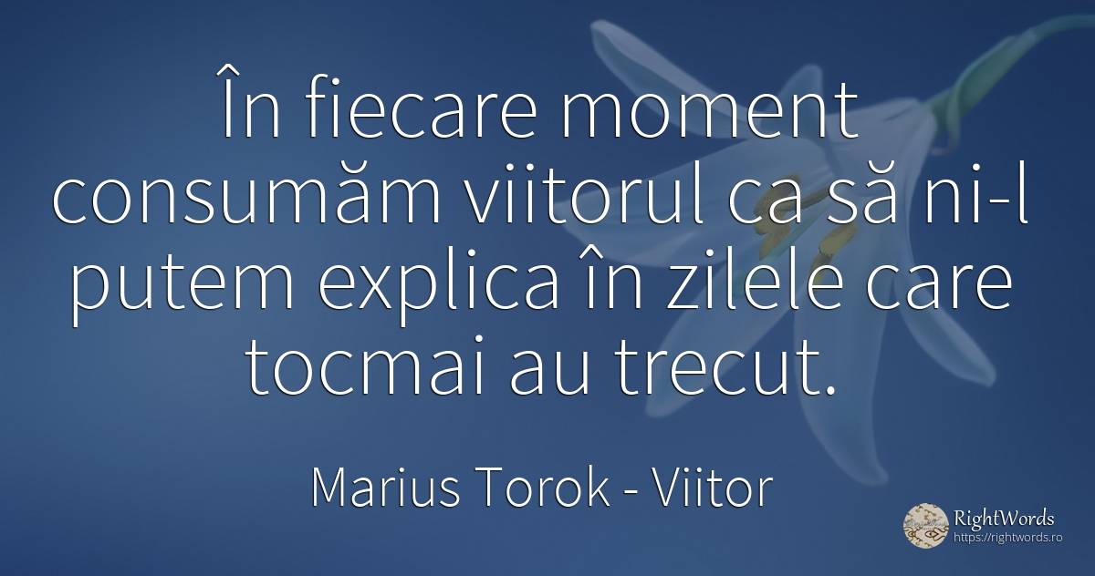 În fiecare moment consumăm viitorul ca să ni-l putem... - Marius Torok (Darius Domcea), citat despre viitor, zi, trecut