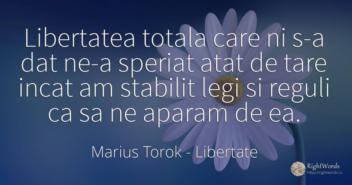 Libertatea totala care ni s-a dat ne-a speriat atat de... - Marius Torok (Darius Domcea), citat despre libertate, reguli, lege