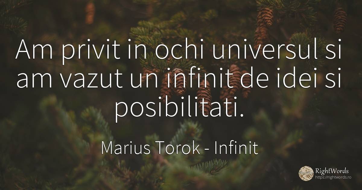 Am privit in ochi universul si am vazut un infinit de... - Marius Torok (Darius Domcea), citat despre infinit, posibilitate, univers, ochi