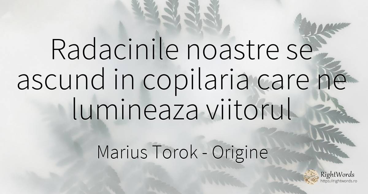 Radacinile noastre se ascund in copilaria care ne... - Marius Torok (Darius Domcea), citat despre origine, copilărie, viitor