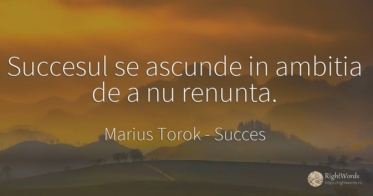Succesul se ascunde in ambitia de a nu renunta. - Marius Torok (Darius Domcea), citat despre succes, ambiție